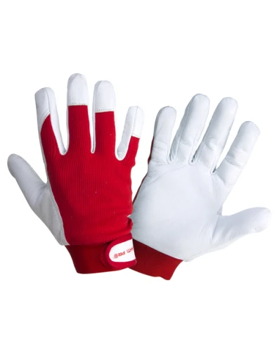 f0ba3d9e9d8dbe52828b1609c3851219